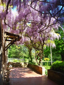 terrasse sud